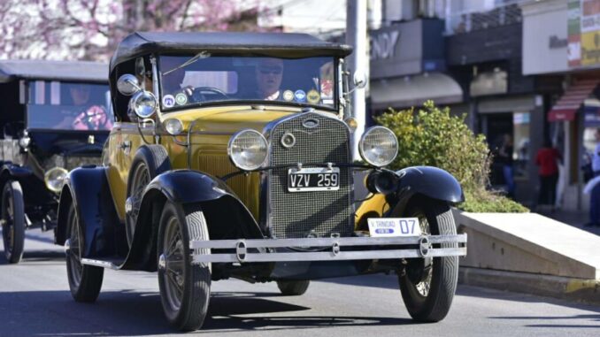 auto1-1024x682