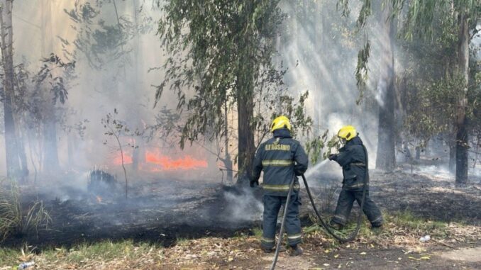 bomberos voluntarios rosario