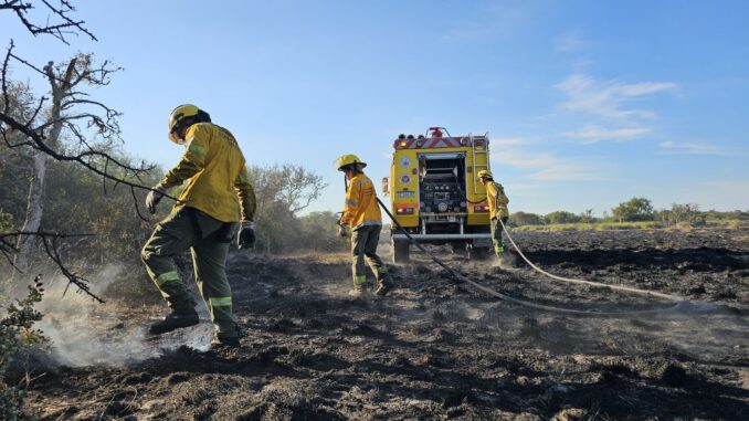 2025-02-24NID_282357O_1 incendios forestales