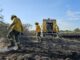 incendios forestales