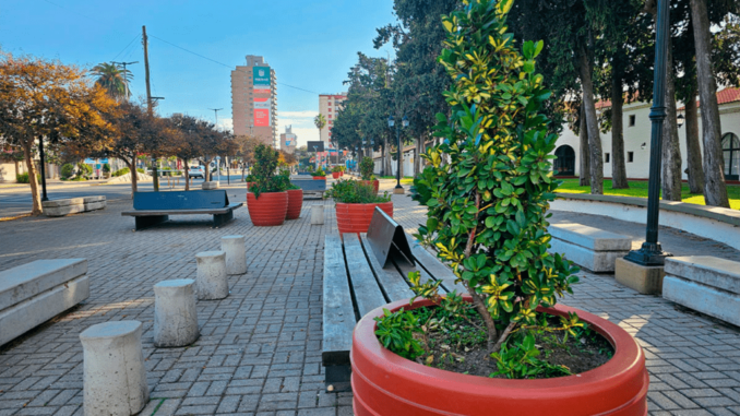 paseo_pino-1024x680