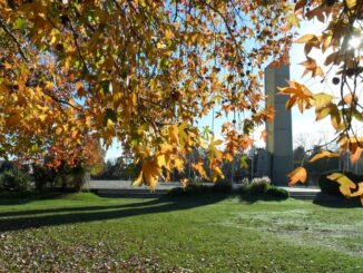 otoño