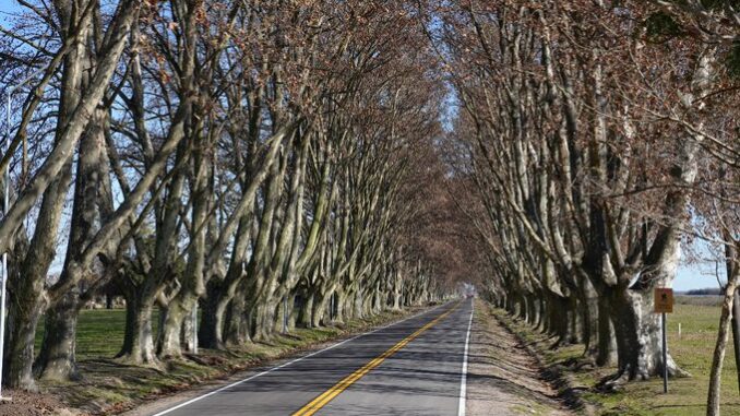 invierno soldini Perez