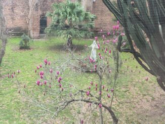 convento patio
